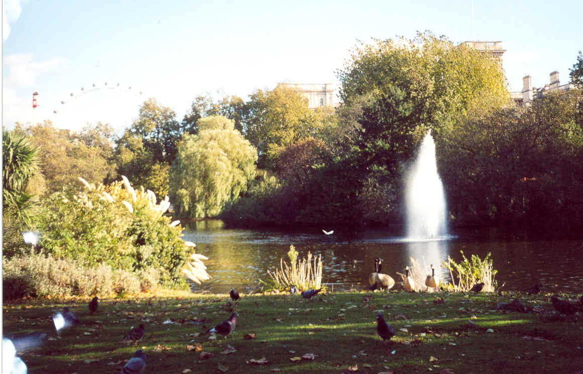 St. James Park